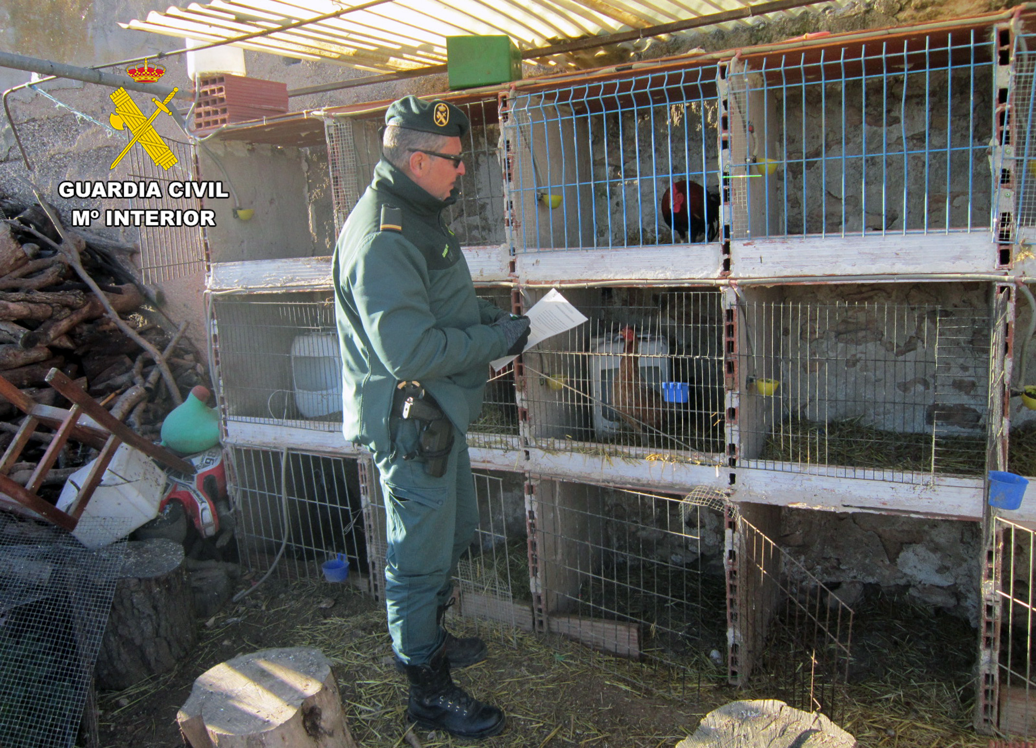 20260127 OP SPUR INVESTIGADO MALTRATO ANIMAL SPN CARAVACA 01