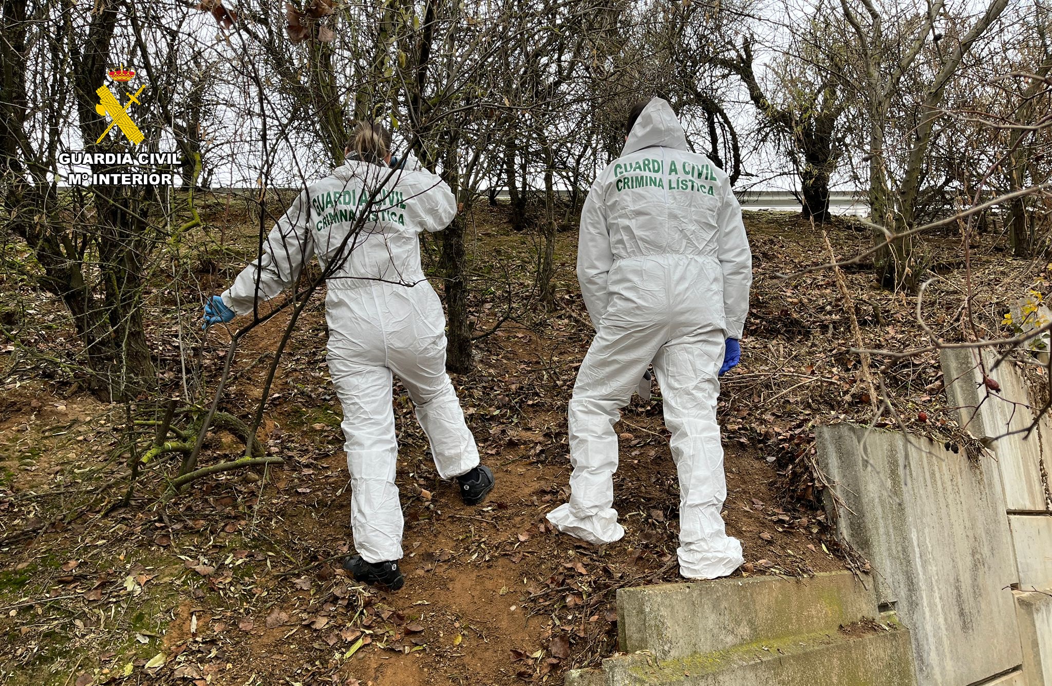 Foto 161225 palencia