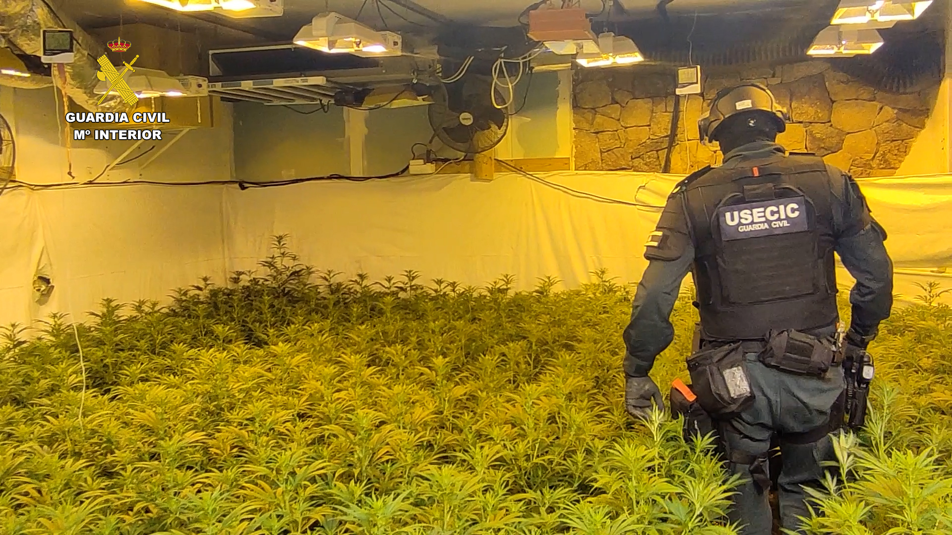 Plantacion Indoor castellon editada.00 00 10 13.Imagen fija001