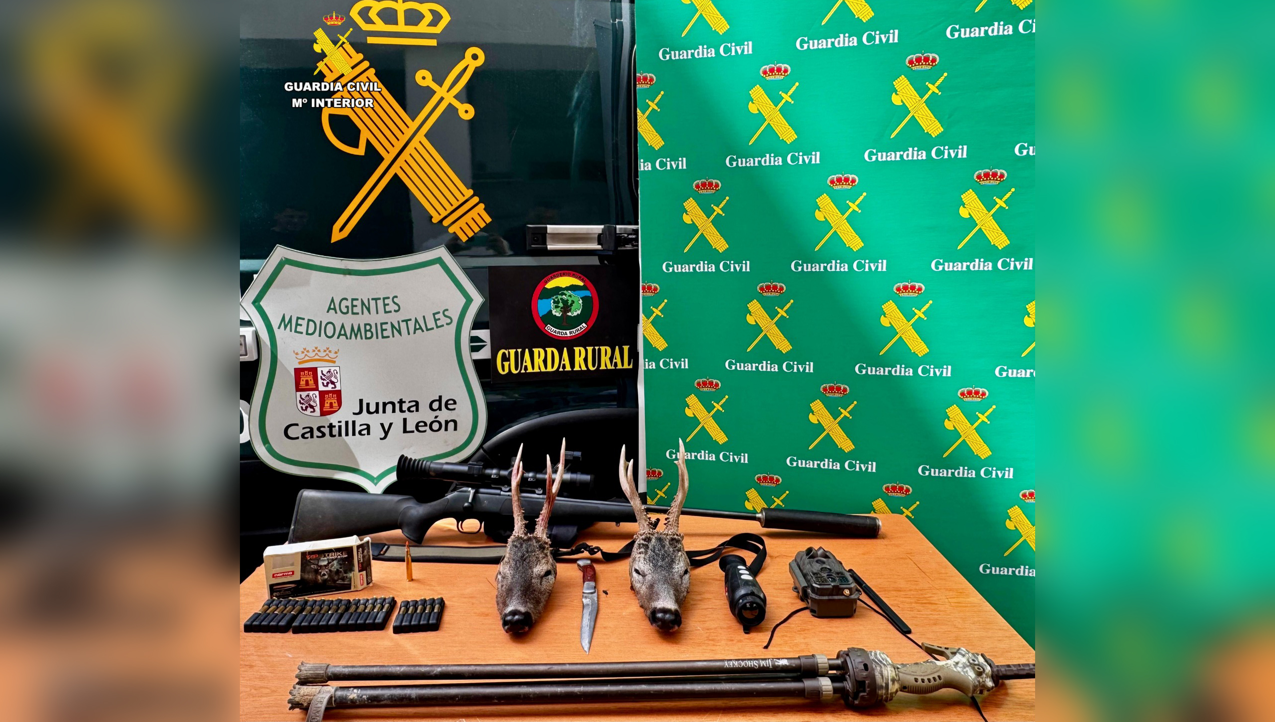 WhatsApp Image 2026 04 17 at 16.35.14