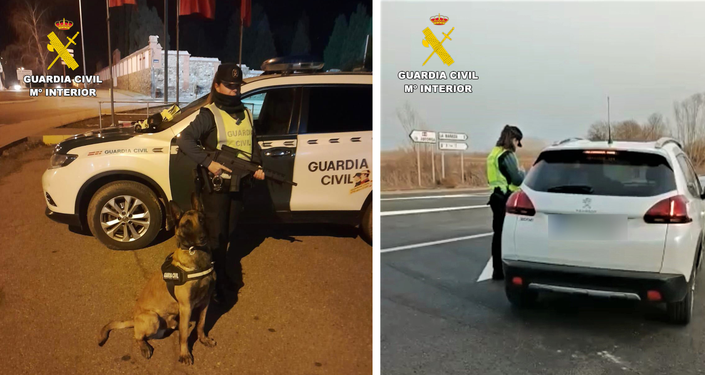 dispositivo de seguridad.GC