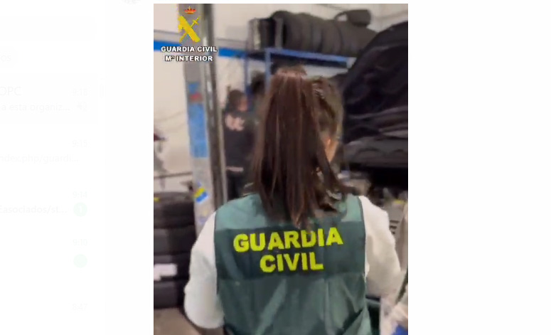 guadalajara soria