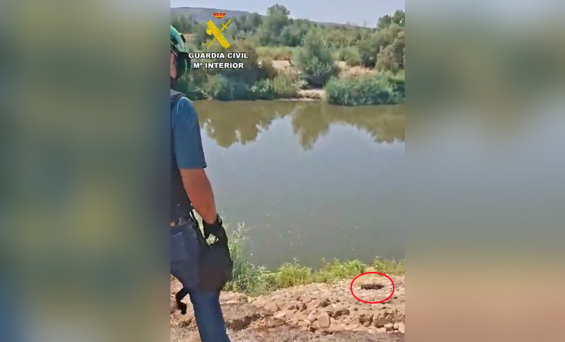 localización destruccion explosivo