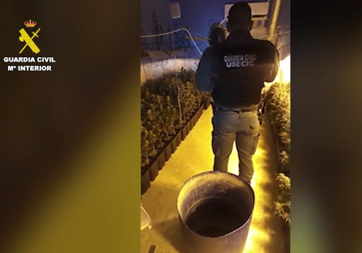 marihuana guardiacivil