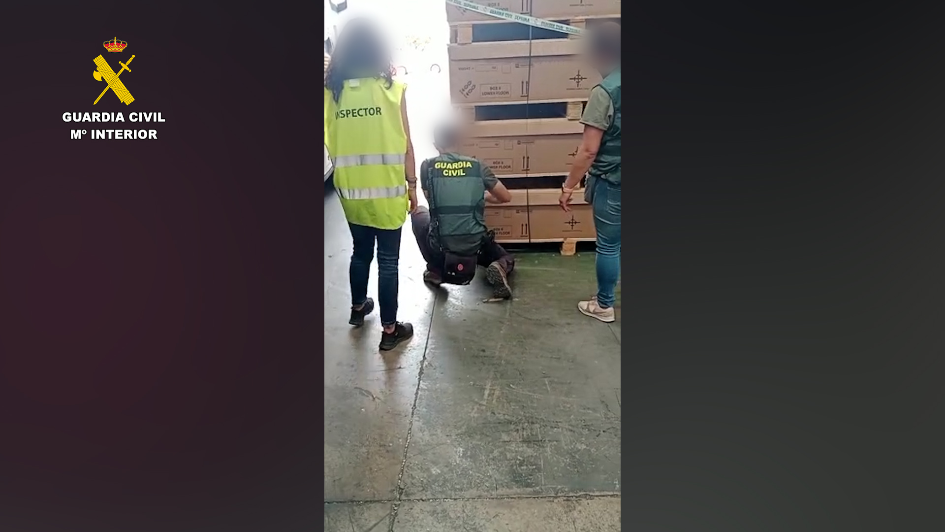 op packingwood toledo editada foto 01