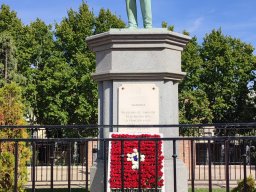 polillas_valdemoro_2023_8