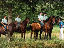Historia de la Guardia Civil