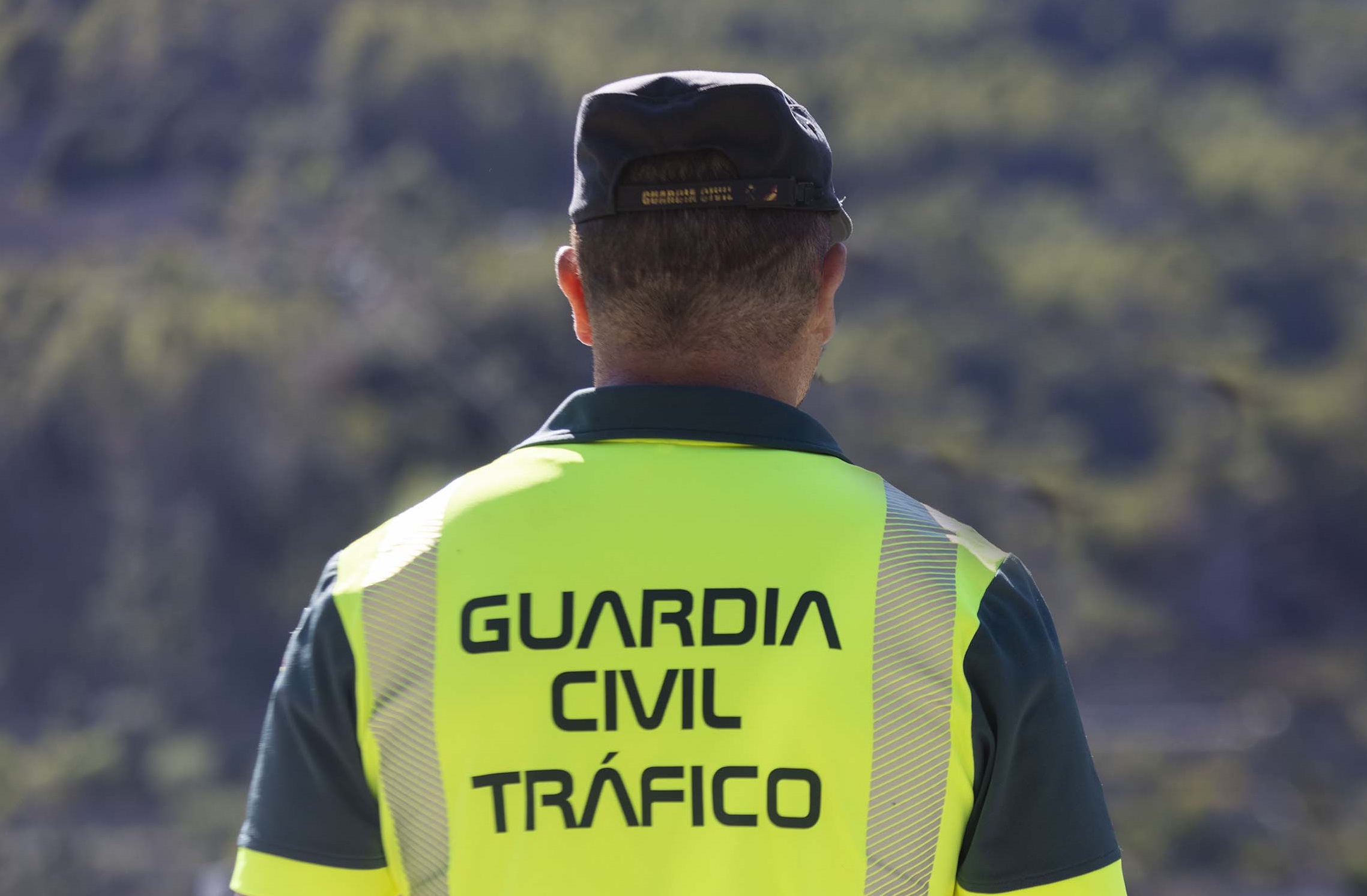 trafico inves seguridad vial